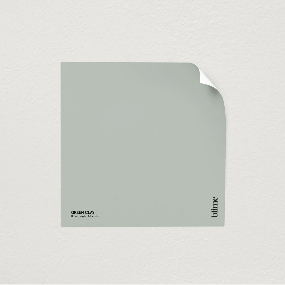 Les verts populaires - Image 7