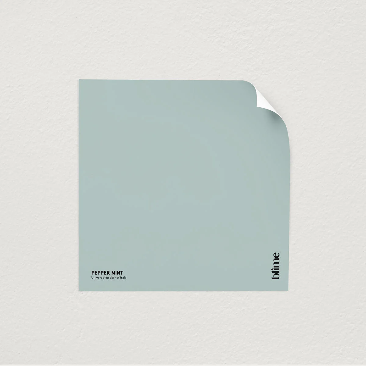 Les bleus clairs - Image 4