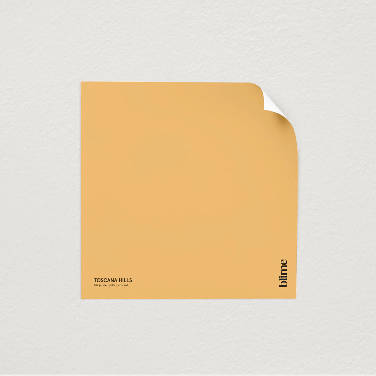 Les jaunes - Image 7