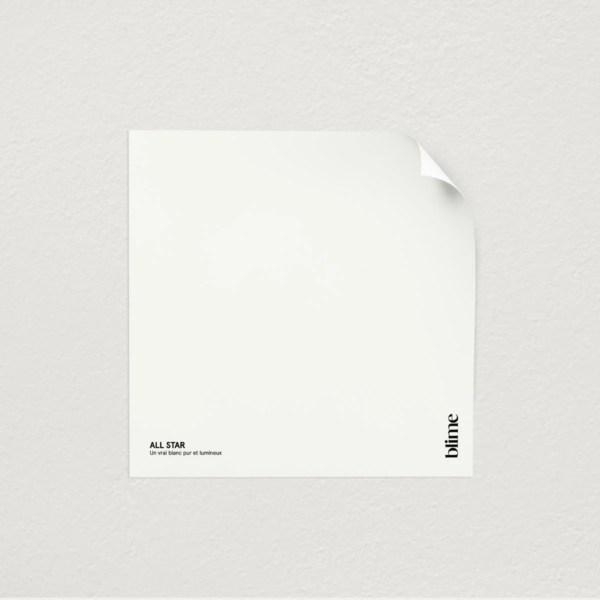 Les blancs - Image 5