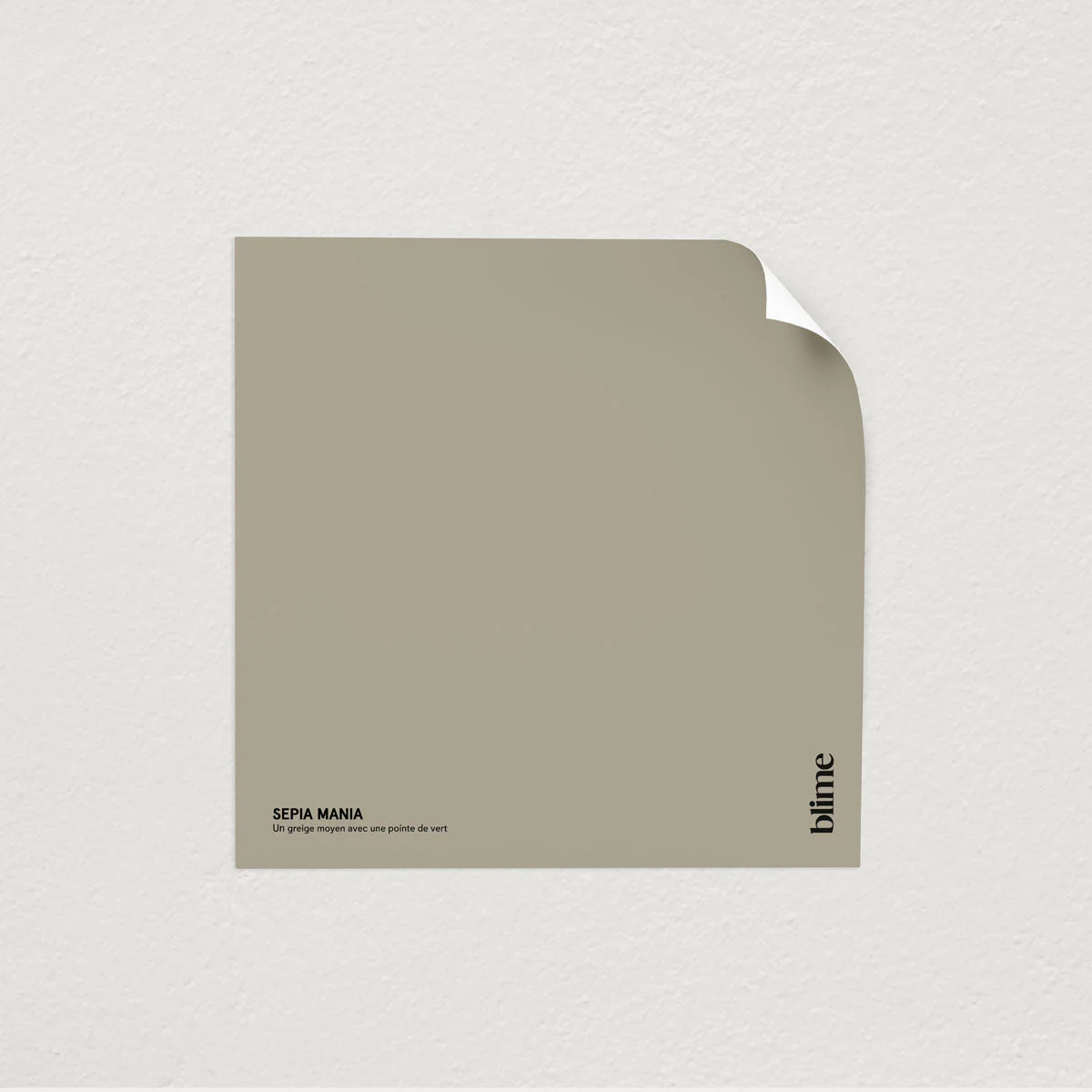 Les verts clairs - Image 5