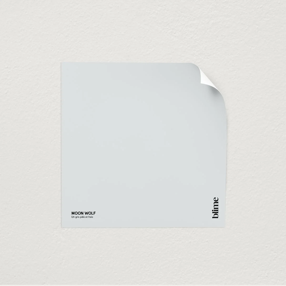 Moon wolf échantillon - Image 4