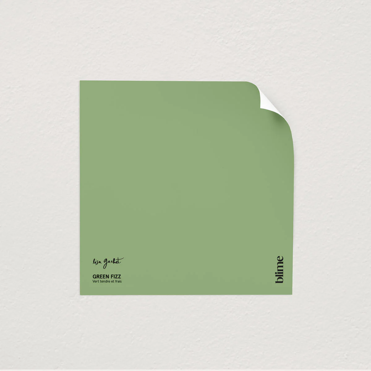 Les verts clairs - Image 6