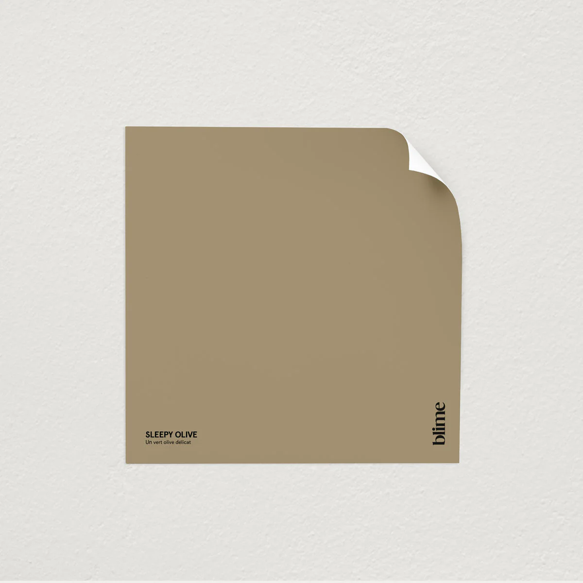 Les verts populaires - Image 5