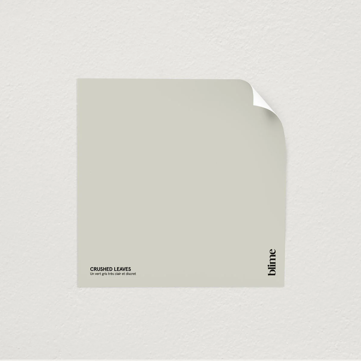 Les verts clairs - Image 8