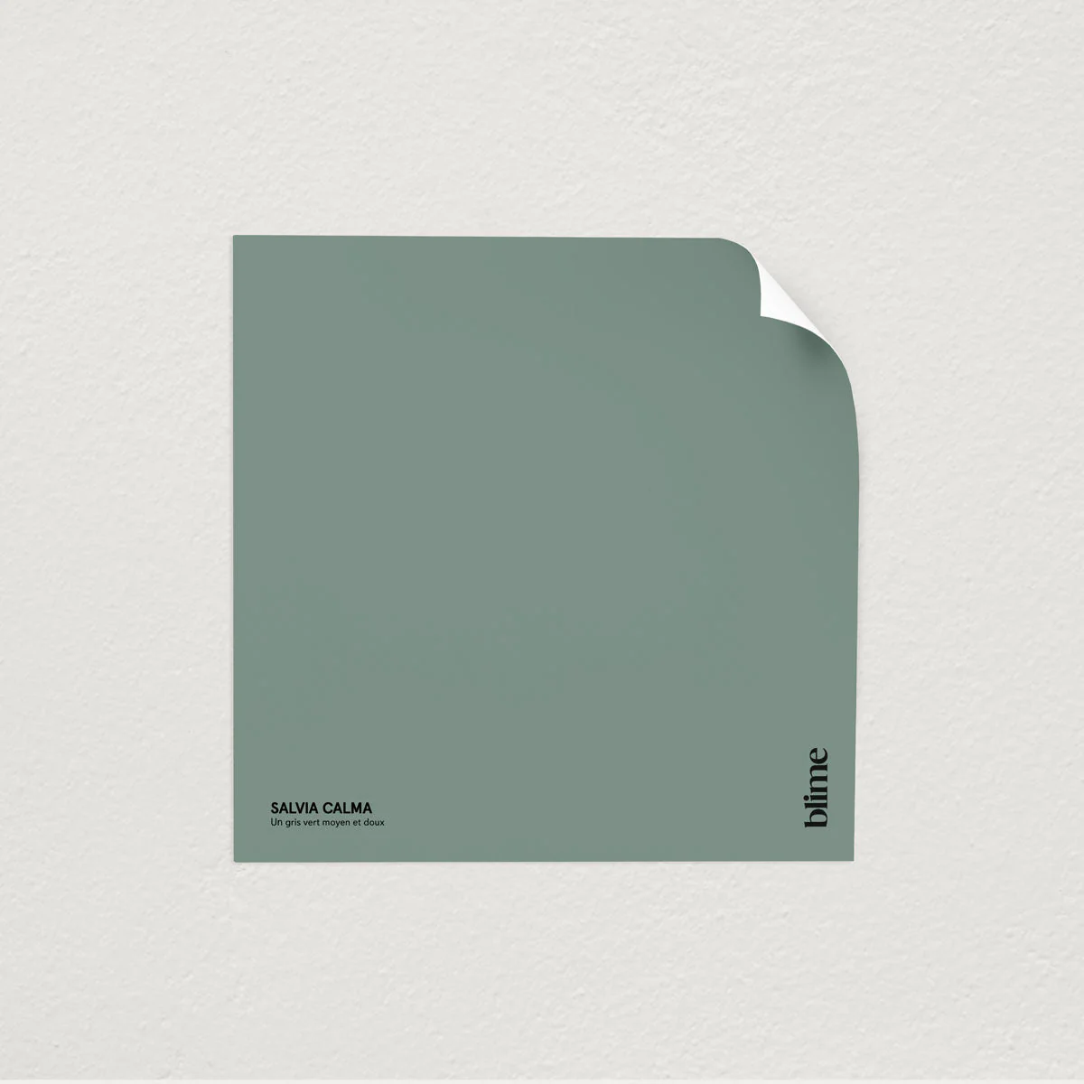 Les verts foncés - Image 5