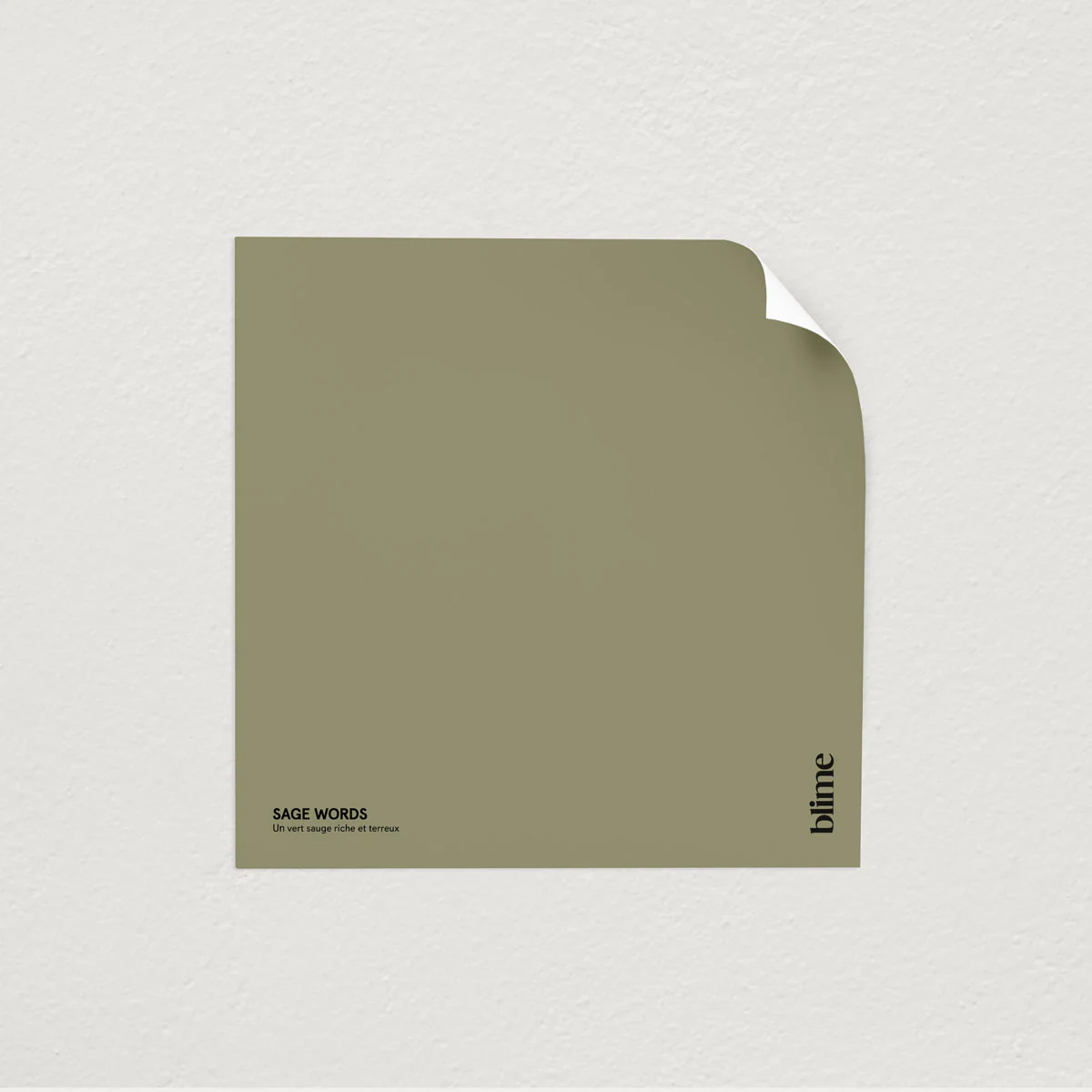 Les verts foncés - Image 6