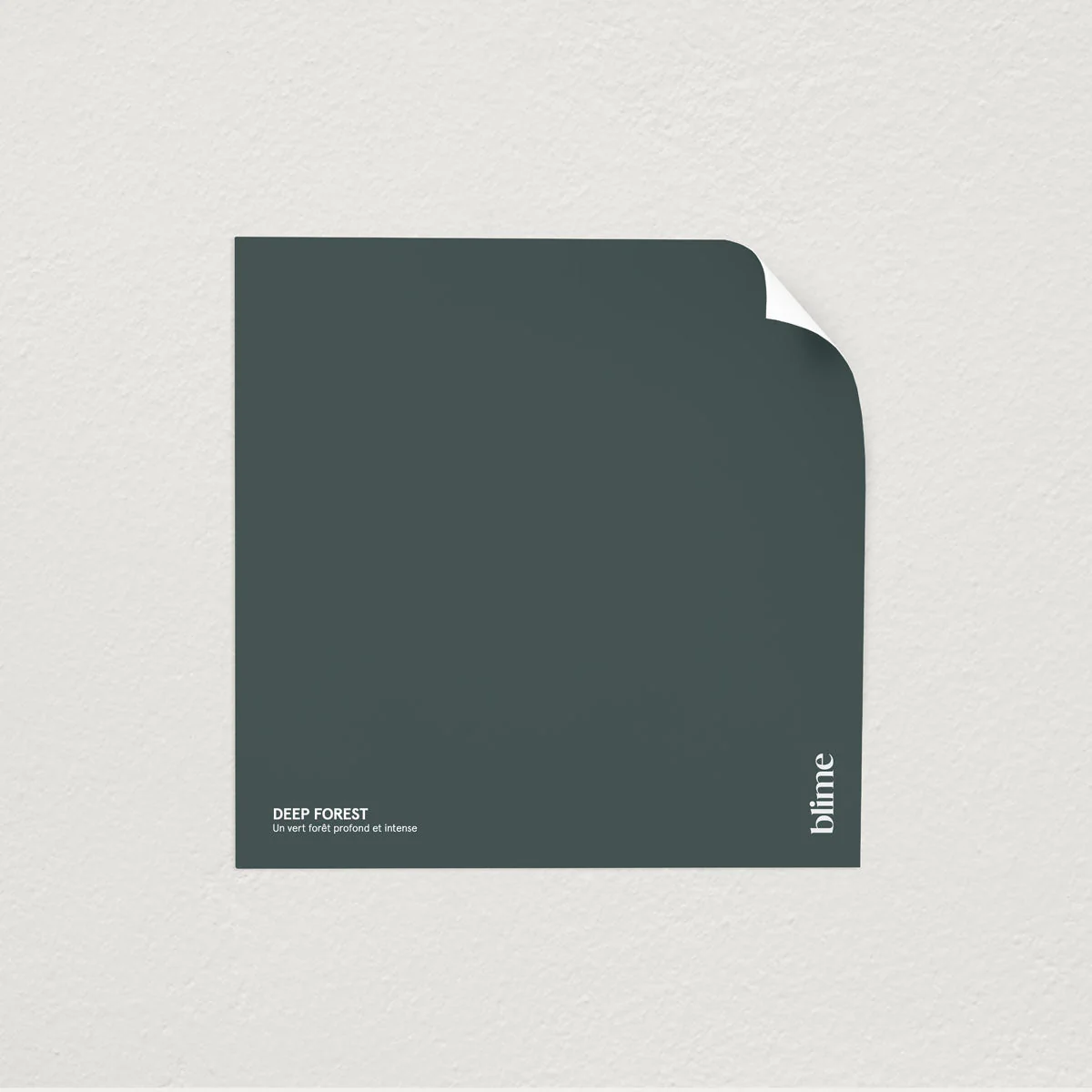 Les verts foncés - Image 7