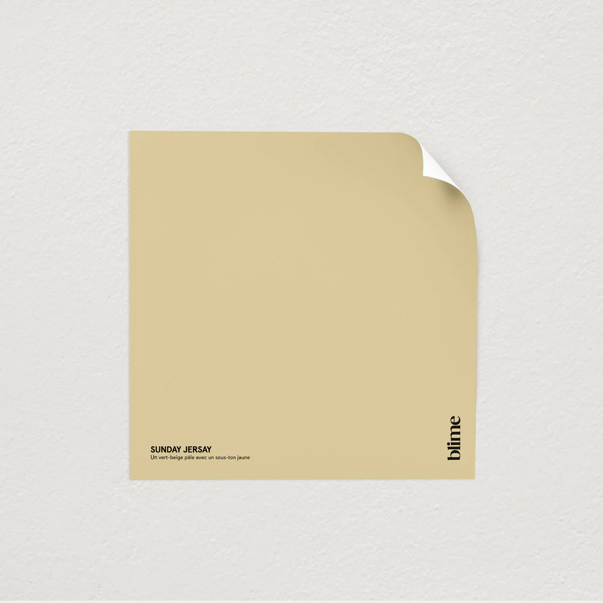 Sunday Jersay échantillon - Image 4